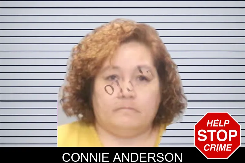 Connie Anderson mugshot