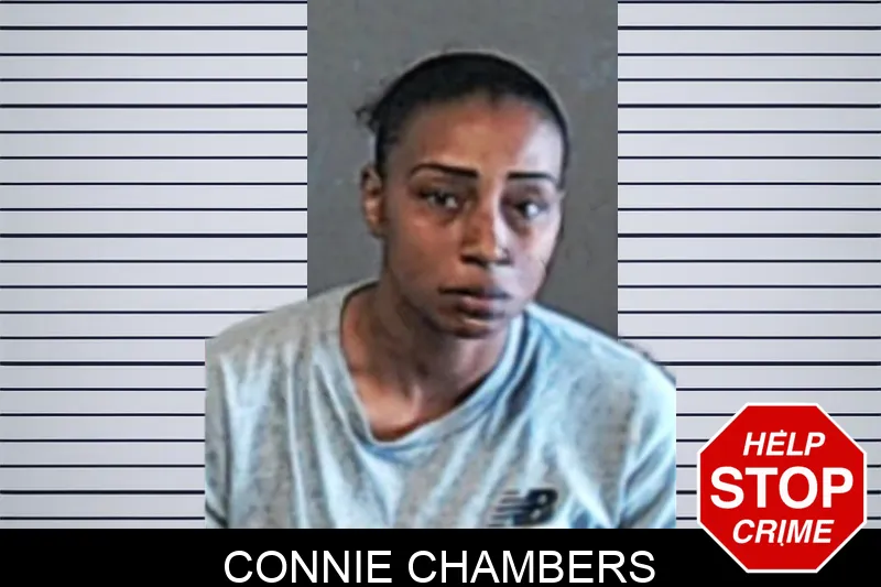 Connie Chambers mugshot
