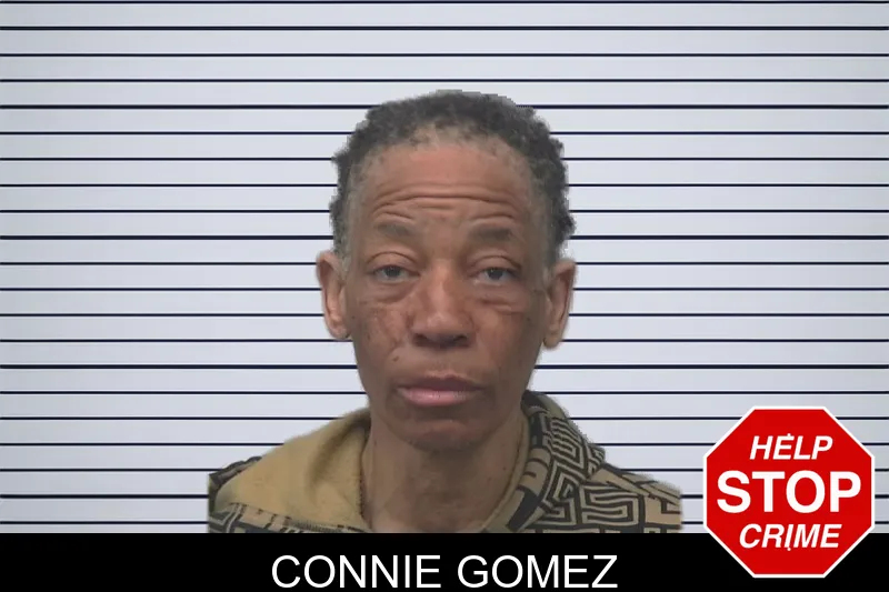 Connie Gomez mugshot