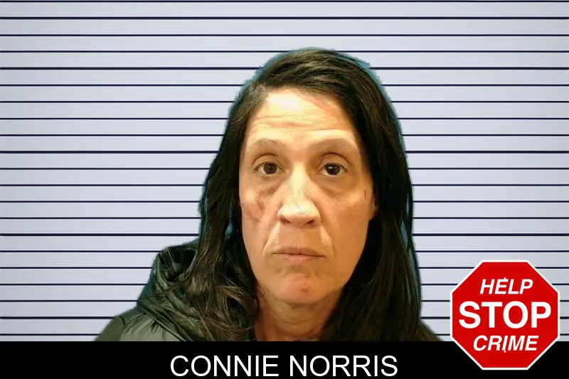 Connie Norris mugshot