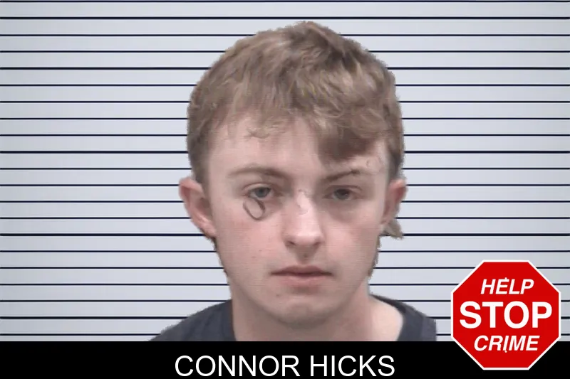 Connor Hicks mugshot