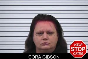 Cora Gibson mugshot