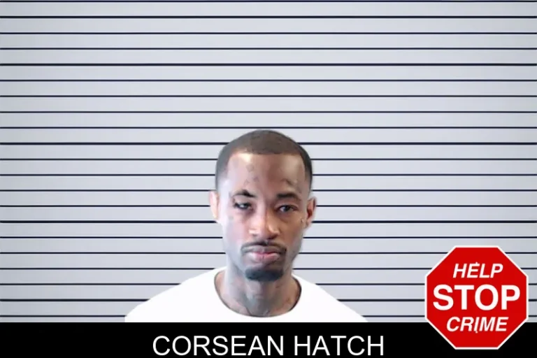 Corsean Hatch