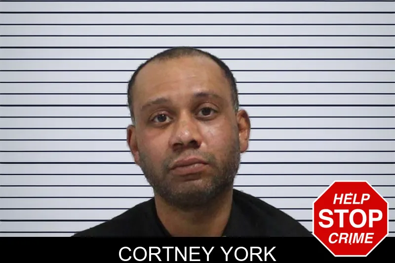 Cortney York mugshot – Carroll County , Georgia Cortney York mugshot