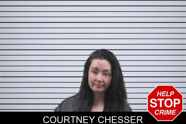 Courtney Chesser mugshot – Banks County , Georgia Courtney Chesser