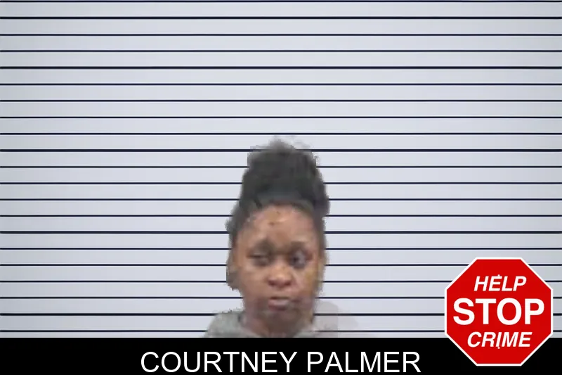 Courtney Palmer mugshot