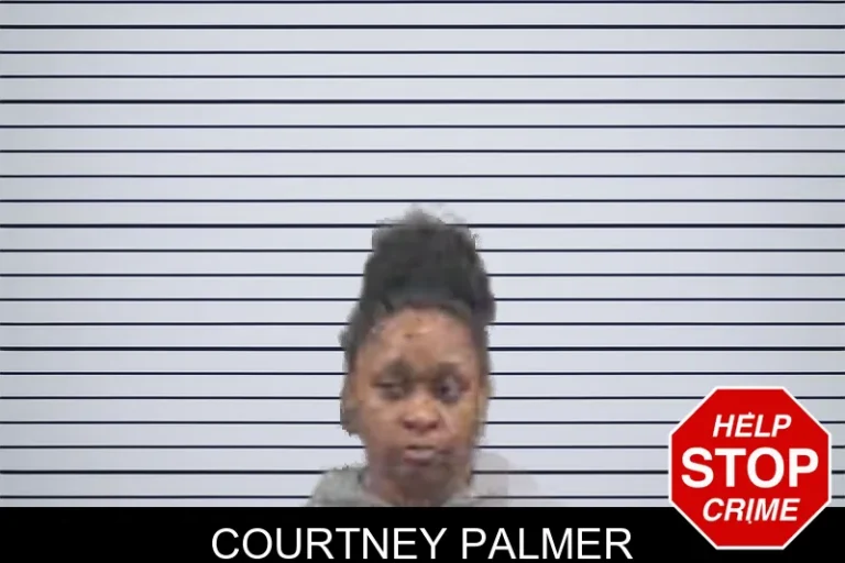 Courtney Palmer mugshot – Banks County , Georgia Courtney Palmer