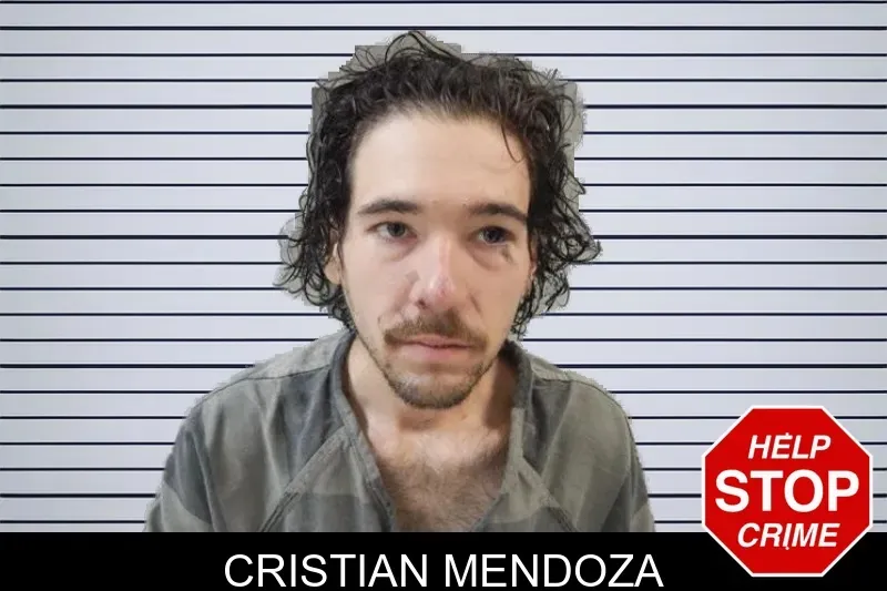 Cristian Mendoza mugshot