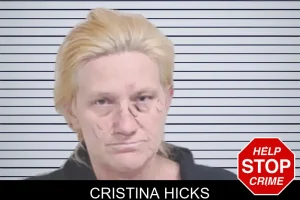 Cristina Hicks mugshot