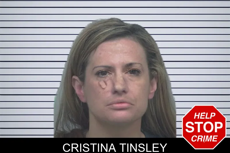 Cristina Tinsley mugshot