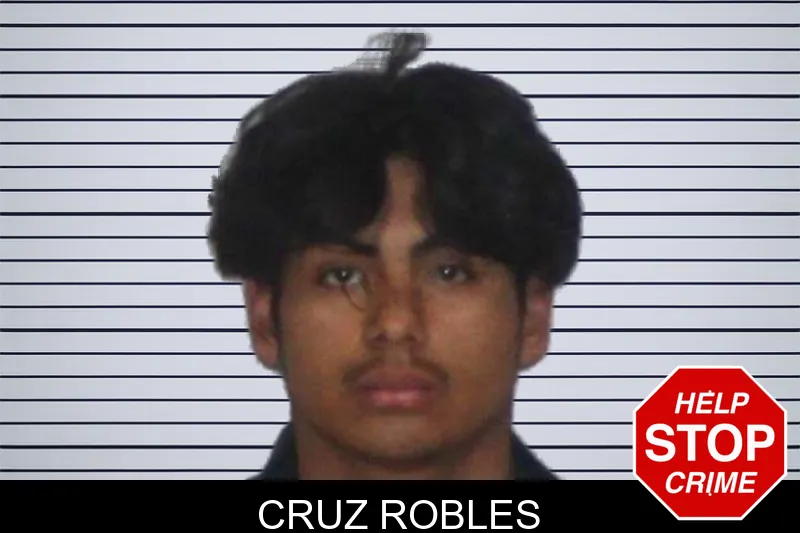 Cruz Robles mugshot
