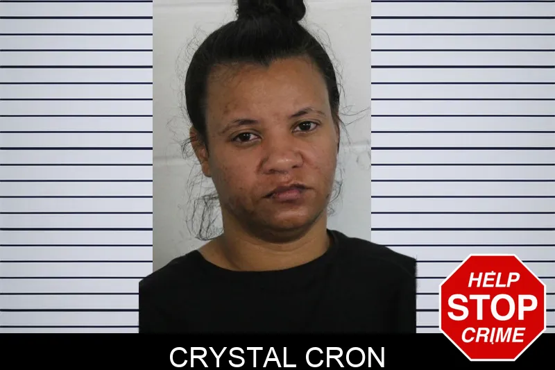 Crystal Cron mugshot – Floyd County , Georgia Crystal Cron mugshot