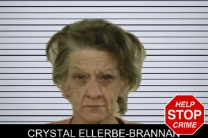 Crystal Ellerbe-Brannan mugshot