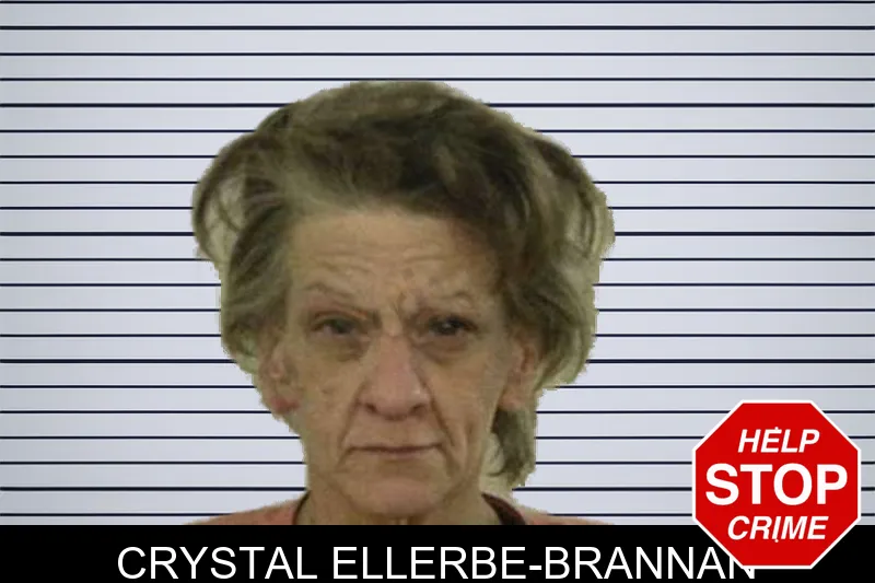 Crystal Ellerbe-Brannan mugshot