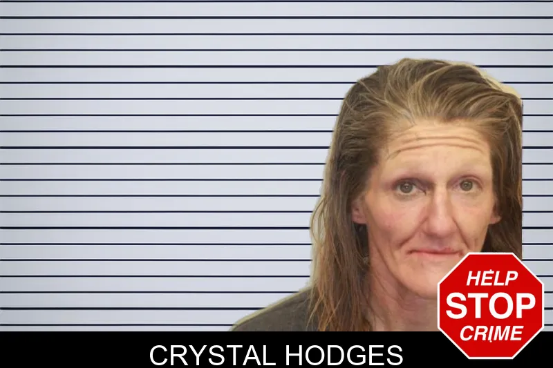 Crystal Hodges mugshot