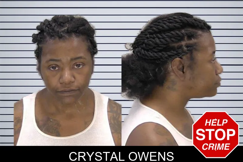 Crystal Owens mugshot