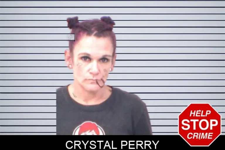 Crystal Perry mugshot – Emanuel County , Georgia Crystal Perry