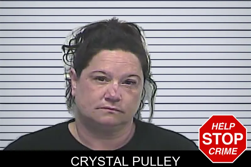 Crystal Pulley mugshot