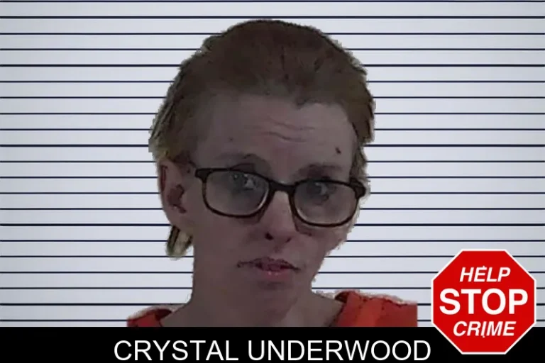 Crystal Underwood mugshot – Fannin County , Georgia Crystal Underwood