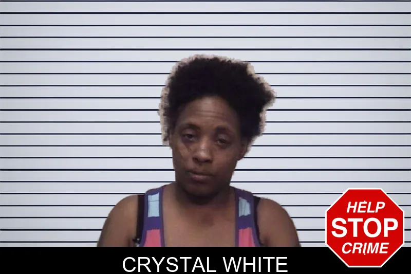 Crystal White mugshot – Coweta County , Georgia Crystal White mugshot