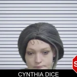Cynthia Dice mugshot – Wayne County , Georgia Cynthia Dice mugshot