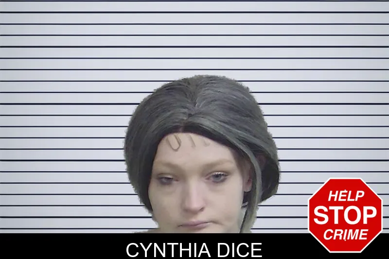 Cynthia Dice mugshot