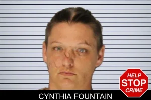 Cynthia Fountain mugshot