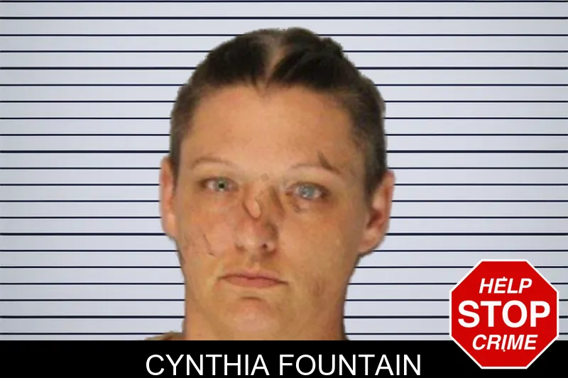 Cynthia Fountain mugshot