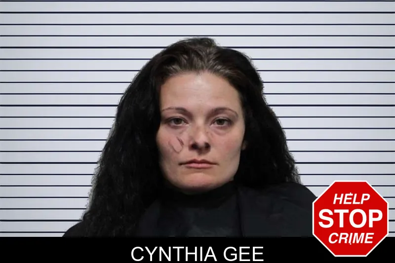 Cynthia Gee mugshot