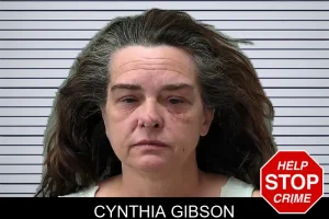 Cynthia Gibson mugshot