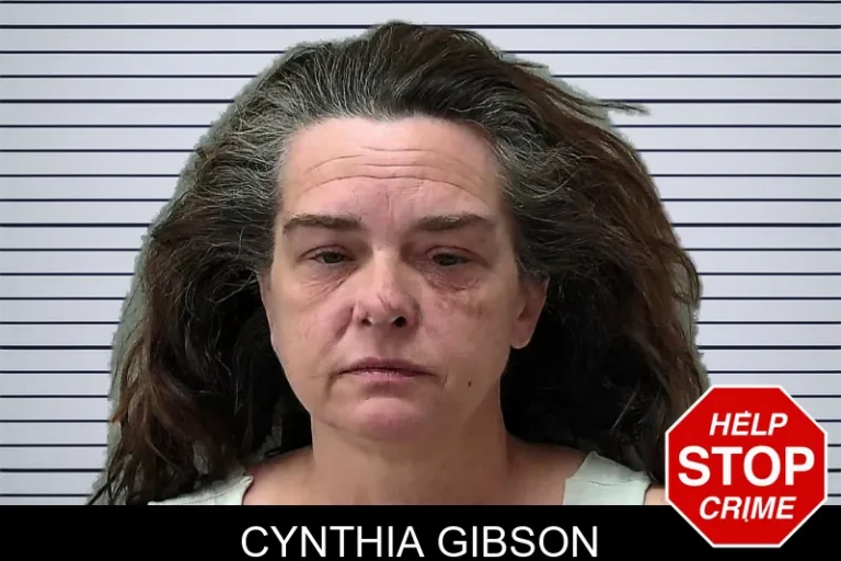 Cynthia Gibson mugshot – Towns County , Georgia Cynthia Gibson