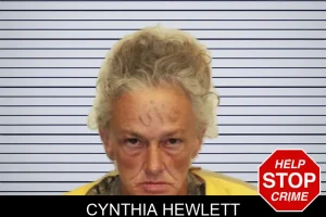 Cynthia Hewlett mugshot