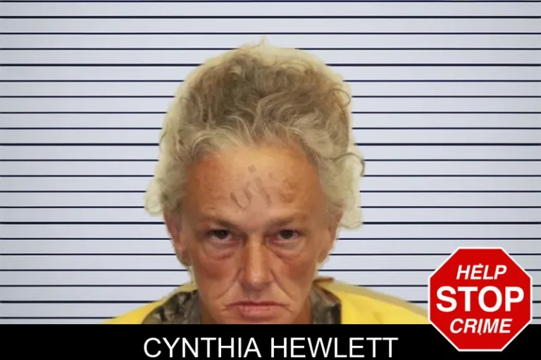 Cynthia Hewlett mugshot – Chatham County , Georgia Cynthia Hewlett