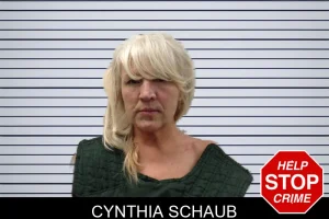Cynthia Schaub mugshot