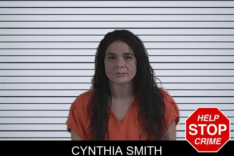 Cynthia Smith mugshot – Fannin County , Georgia Cynthia Smith