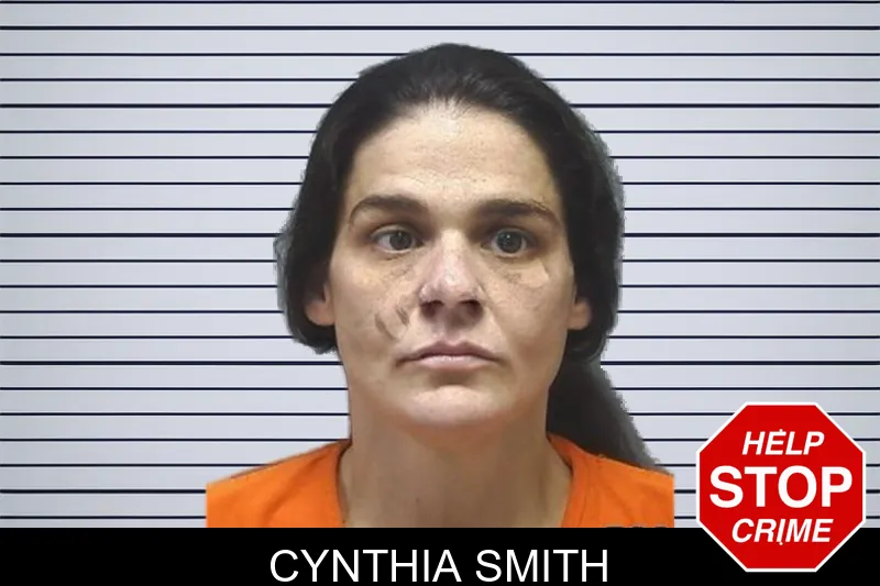 Cynthia Smith mugshot