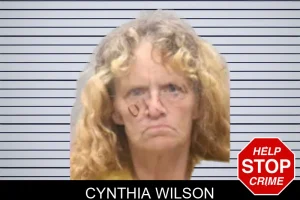 Cynthia Wilson mugshot