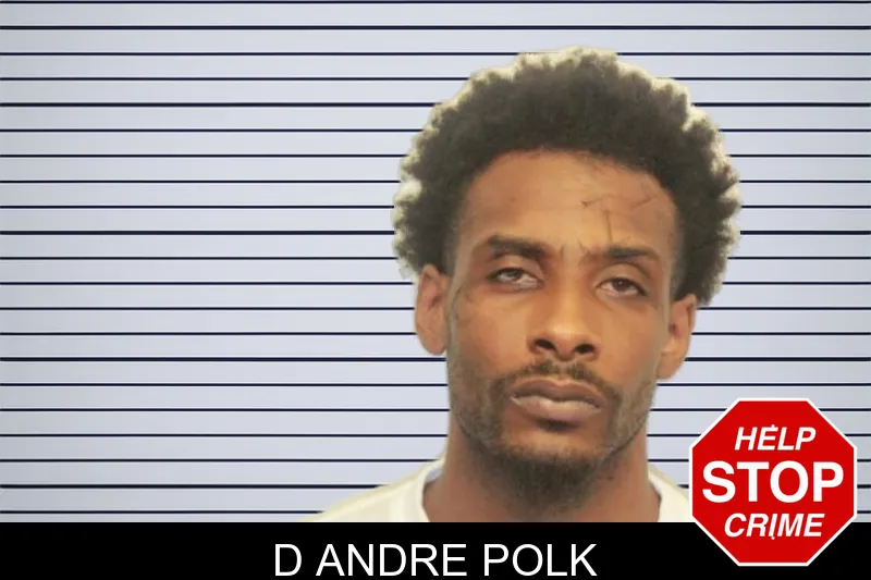 D Andre Polk mugshot
