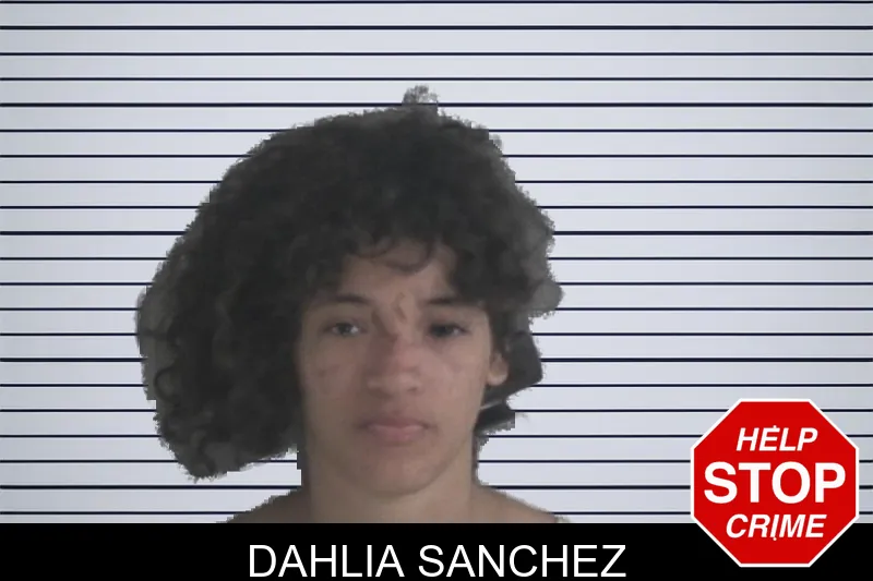Dahlia Sanchez mugshot