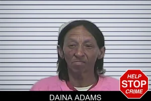 Daina Adams mugshot