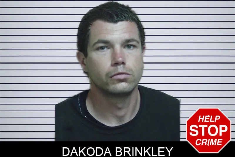 Dakoda Brinkley mugshot – Montgomery County , Georgia Dakoda Brinkley mugshot