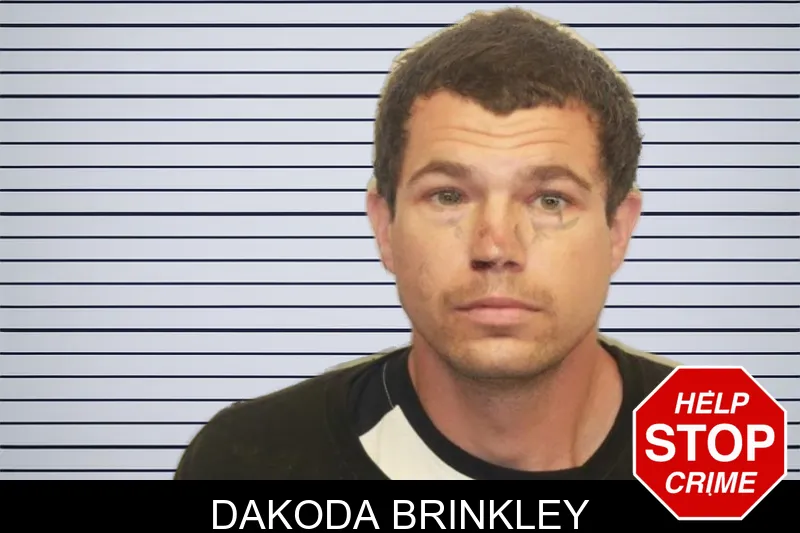 Dakoda Brinkley mugshot – Chatham County , Georgia Dakoda Brinkley mugshot