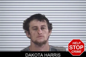 Dakota Harris mugshot