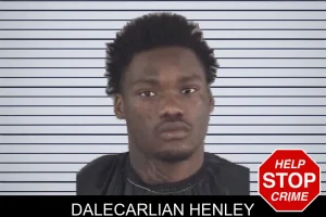 Dalecarlian Henley mugshot