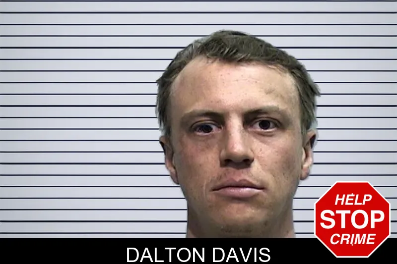 Dalton Davis mugshot