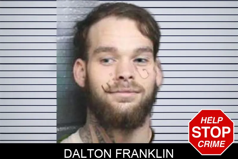 Dalton Franklin mugshot – Bacon County , Georgia Dalton Franklin mugshot