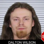 Dalton Wilson mugshot