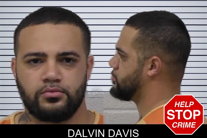 Dalvin Davis mugshot – Paulding County , Georgia Dalvin Davis mugshot