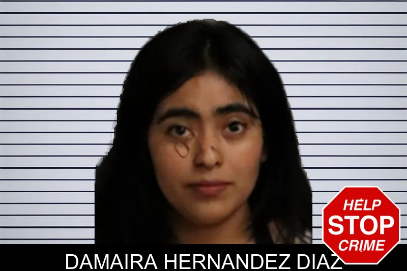 Damaira Hernandez Diaz mugshot