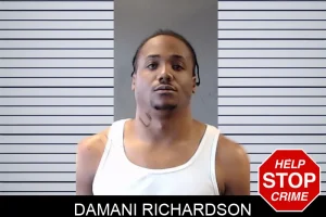 Damani Richardson mugshot